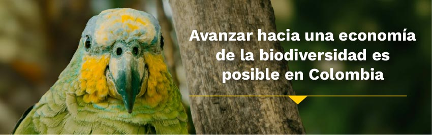 Avanzar hacia una economía de la biodiversidad es posible en Colombia