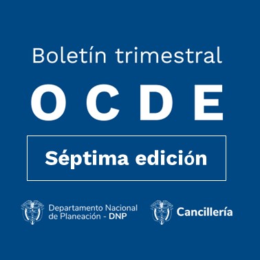 Portada del séptimo Boletín OCDE