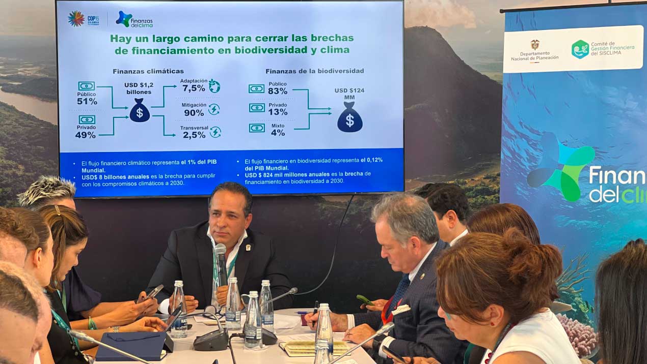 Panel de discusión sobre financiamiento climático y biodiversidad, organizado por el DNP.