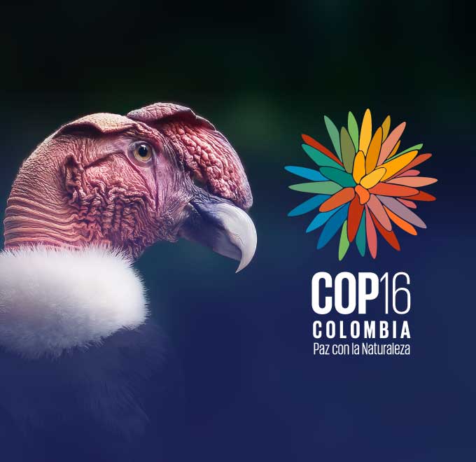 El DNP llega a la COP16