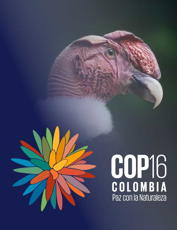 COP16